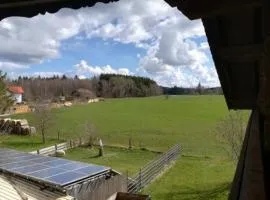 FeWo Südlicher Ortsrand von Rott 100m²