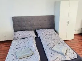 Apartment near the center of Prievidza close to Bojnice