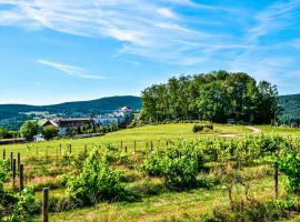 Grafenwiesen में, होटल Spirit & SPA Birkenhof am Elfenhain