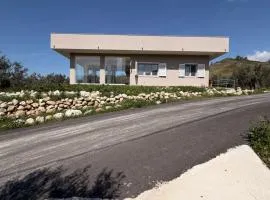 B&B Nido degli Ulivi