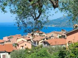 Casa Olivella