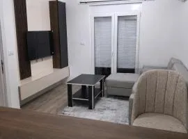 Cozy aparment Susanj,Bar