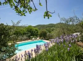 Chianti Classico Rooms & Apartments with Pool