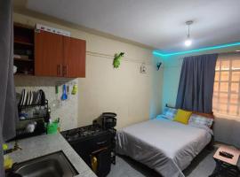 Neon Studio apartment in Juja near Jkuat – hotel w mieście Juja