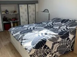 Chambre chez l habitant