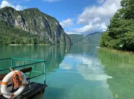 Ferienwohnung Seestern-Mondsee