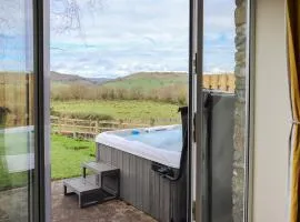 Towy Cottage - Uk49589