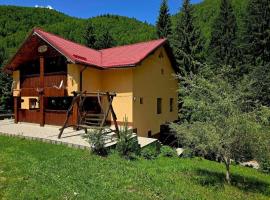 Cabana Cory Râușor, Hotel in Râu de Mori