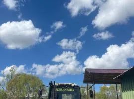 Бекбол