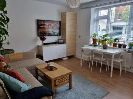Charming Sandymount APT Sleeps 4
