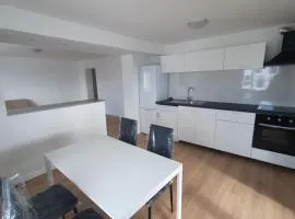 Janez house