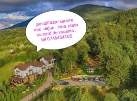 Vila Alpina Maramureș, hotel din Moisei