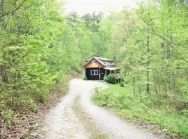 Private Forest Getaway 3-BR wHot Tub