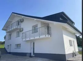Janez house