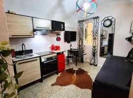 Elegant Studio in the Historic Center
