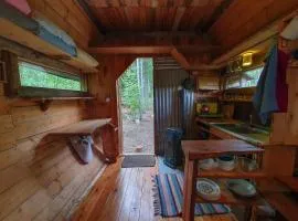 Rustic Cabin on Off-Grid Homestead