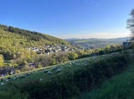 Ruhige moderne Ferienwohnung nahe Winterberg mit Terrasse, WLAN und Parkplatz