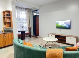 Luxury Ntinda Apartment with Wi Fi and Netflix