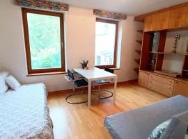 Klosterneuburg 2 Zimmer, WC, Bad und Terrasse