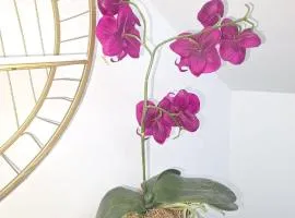 Unique Touch HG