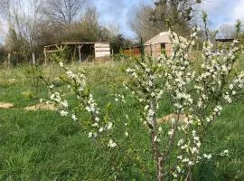 Les Jardins Vert Framboise yourte et chambres d'hôtes