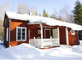 Cozy forest cabin