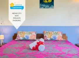 Large studio near city center