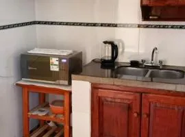 Luz de la puna