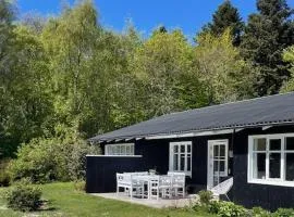 Pet Friendly Home In Blokhus With Sauna