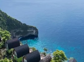 Eco-tourist Dream Beach Cliff