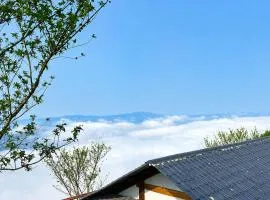 Nhà Của Đậu Tà Xùa