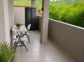 Abricotier à proximité des plages du sud