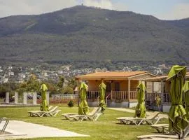 Dar El karma Chalet Familial