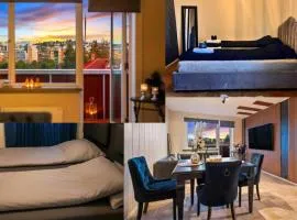 Top floor Helsfyr city central apartment