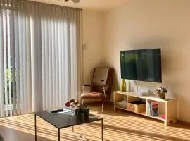Aoja