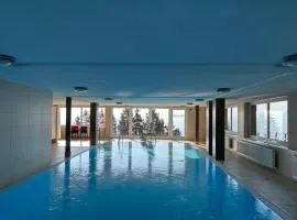 Alpin Noir - Panorama Apartment Gerlitzen
