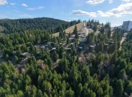 Oxygen Resort Cabin Hotels Lacu Rosu