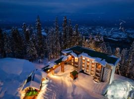 Hotel Royal Castle, hotell i Gulmarg