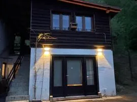Ostoja