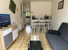 Appartement T2, 4 couchages avec Terrasse privée, tout proche de la cure thermale, centre-ville