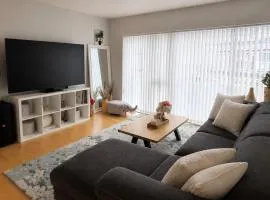Private Scandinavian Apartment with Hafnarfjall View