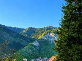 Hotel forest echo โรงแรมในBorjomi