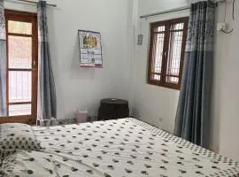 Dhauladhar view home stay