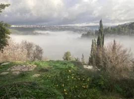 אוהל אברהם- אוהל אירוח עם אווירה ייחודית ונוף מדהים למשפחות ולקבוצות