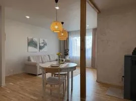 Türi Cozy Apartement
