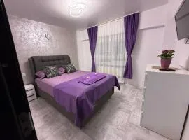 Ioana Home