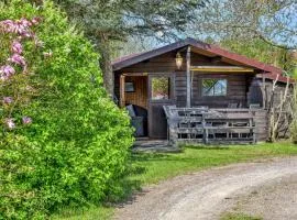 Lovely Home In Waren Müritz With Wifi