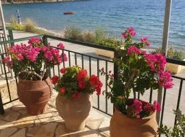 Loutsa Finikounda 2room Apartment on the beach