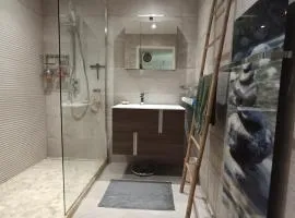 Duplex cosy avec terrasse - 15min de Lyon centre