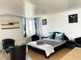 1 appartement au centre de Saignelégier